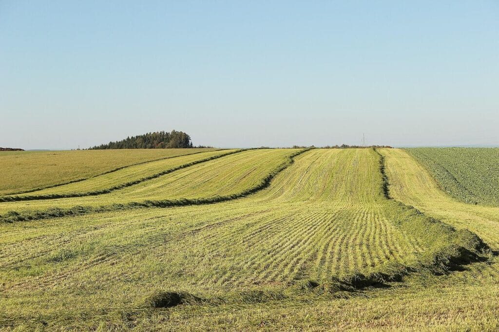 Farmland and rural plots in Paraguay