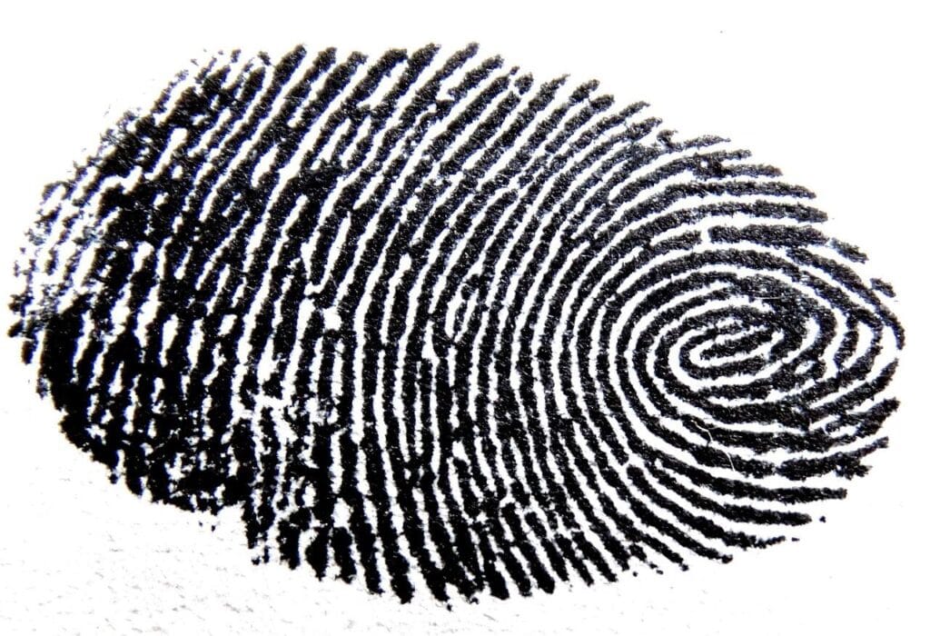 Fingerprint record for the identity card file